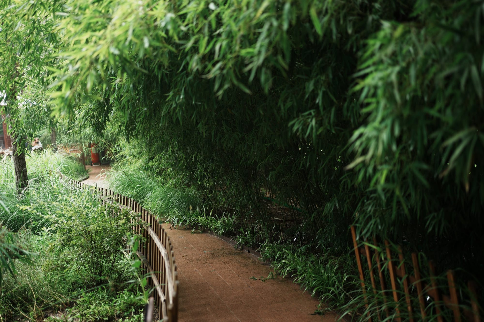 Beijisi Park
