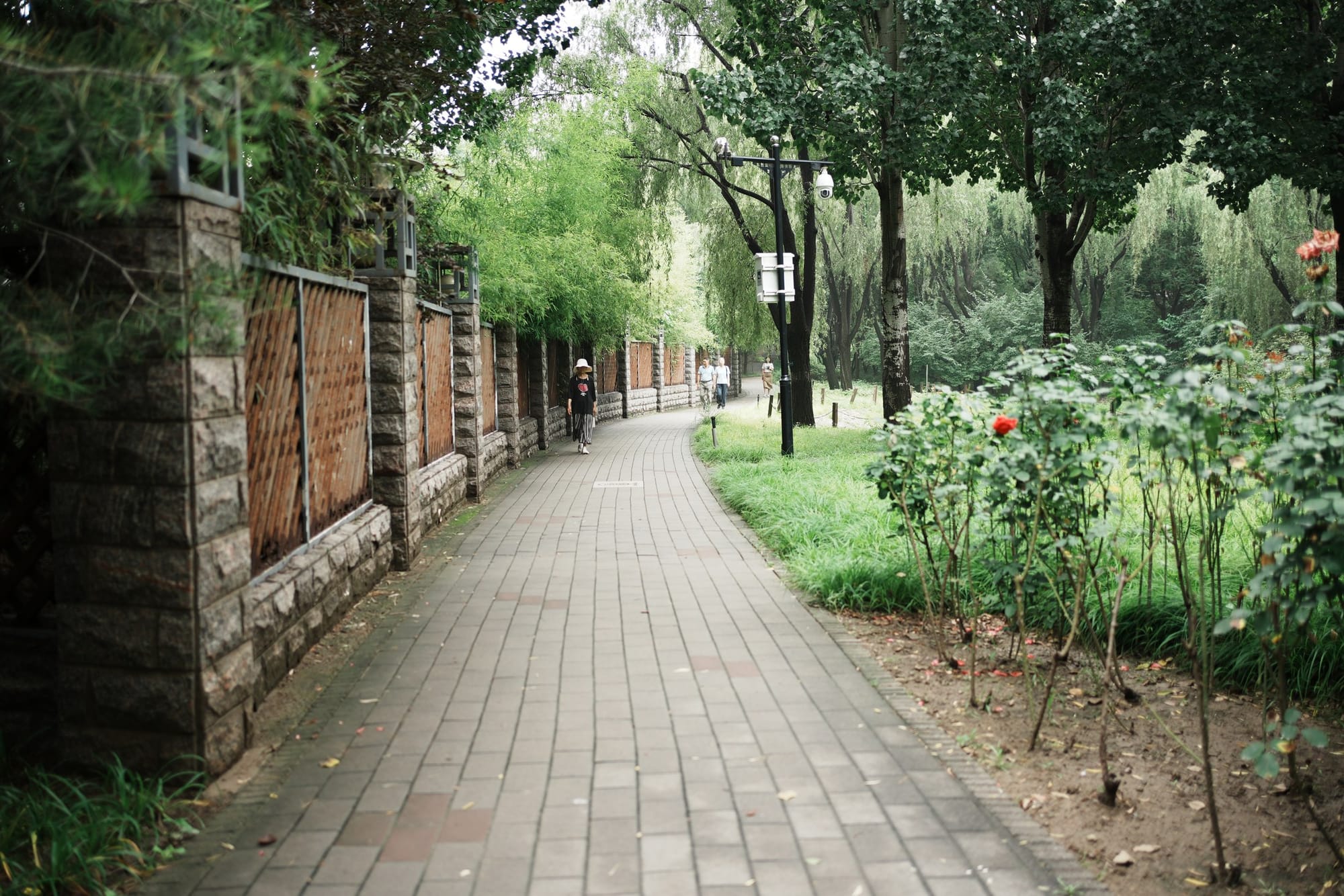 Beijisi Park