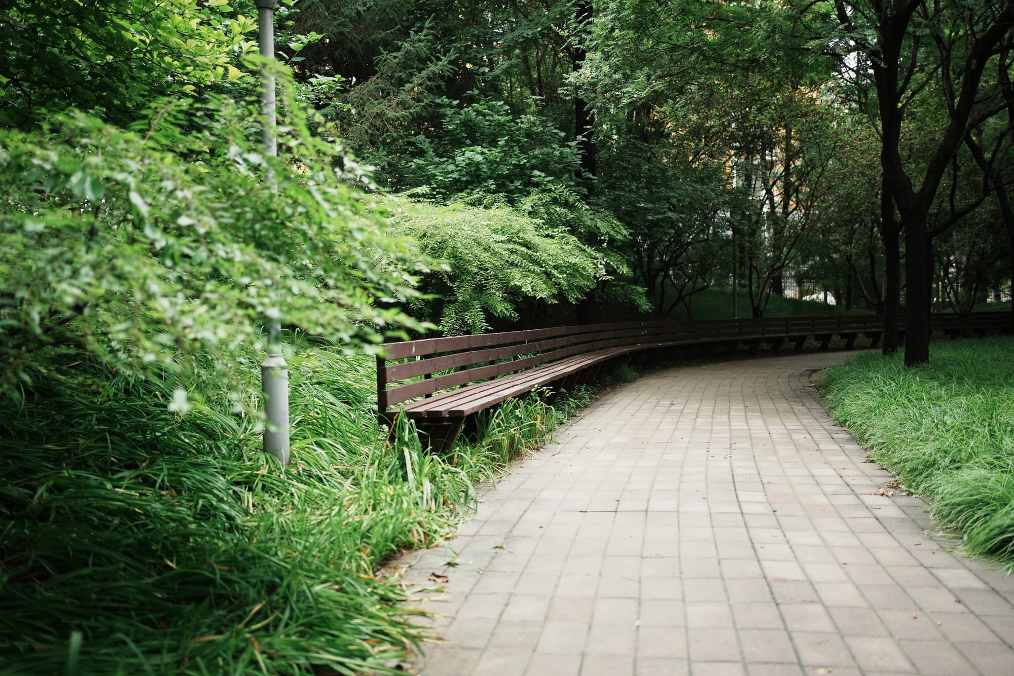 Beijisi Park