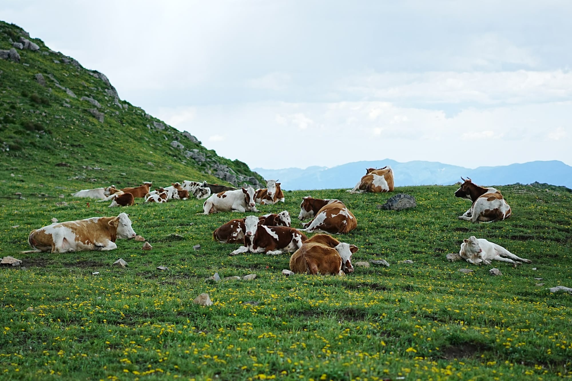 Beiling Mountain in the outskirts of Beijing