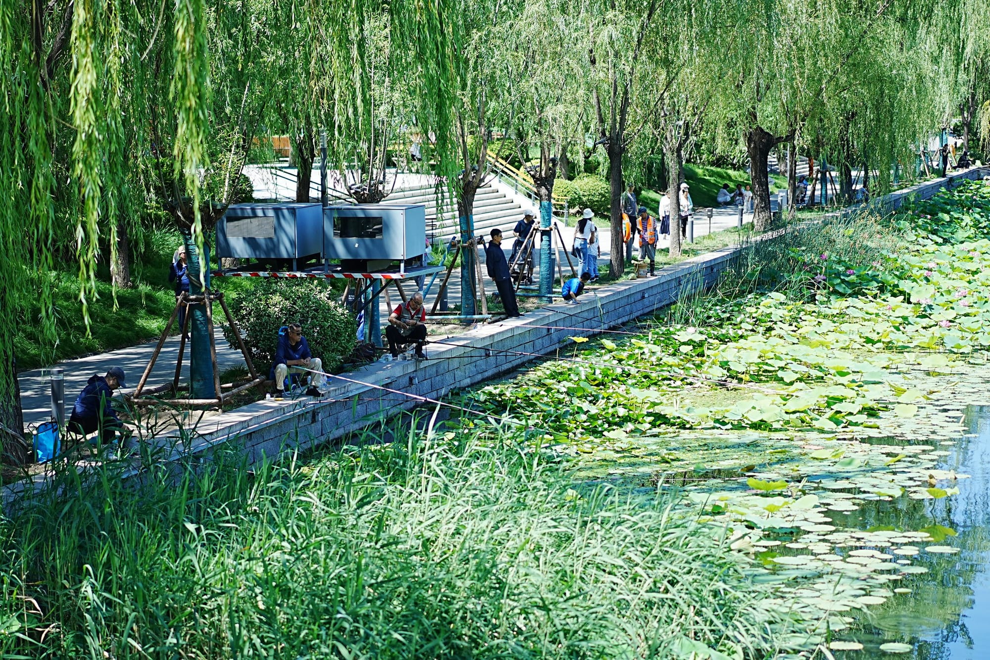 Summer at Liangma River