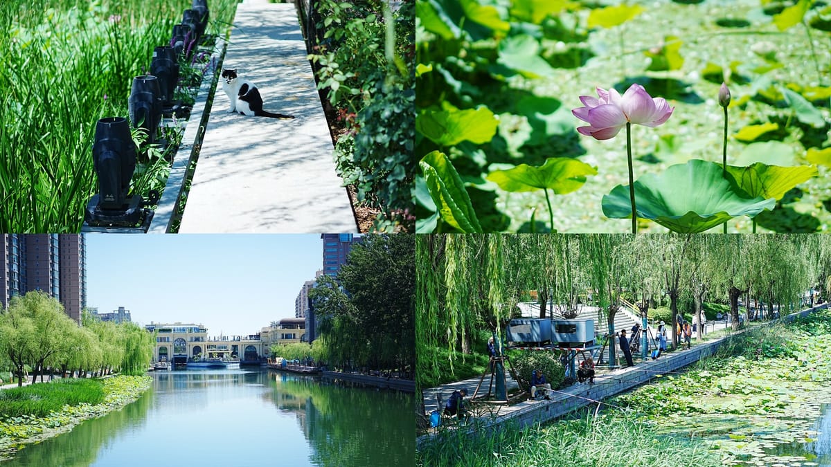 Summer at Liangma River